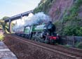 61306 MAYFLOWER Click to purchase photographs