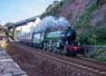 61306 MAYFLOWER Click to purchase photographs