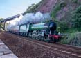 61306 MAYFLOWER Click to purchase photographs