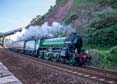 61306 MAYFLOWER Click to purchase photographs