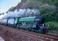 61306 MAYFLOWER Click to purchase photographs