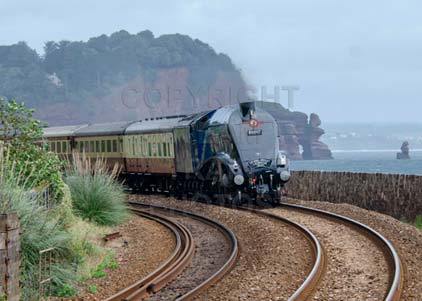 Purchase photo of 60007 SIR NIGEL GRESLEY at Teignmouth