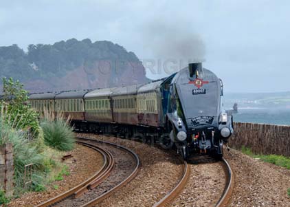 Purchase photo of 60007 SIR NIGEL GRESLEY at Teignmouth