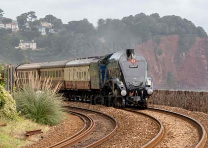 Purchase photo of 60007 SIR NIGEL GRESLEY at Teignmouth