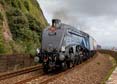Photograph of SIR NIGEL GRESLEY - 60007 SIR NIGEL GRESLEY at Teignmouth on 12/08/23