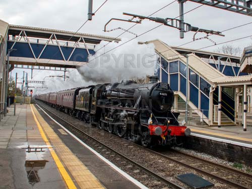 See large image