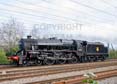 Photograph of Black Five - 44871 Black Five at Tilehurst on 31/10/24