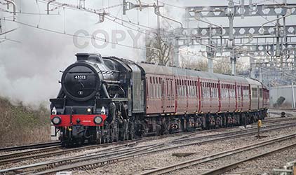Purchase posters of 45212 Black Five