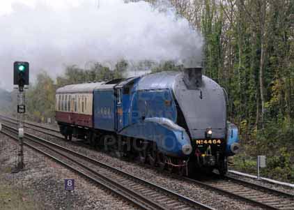 Purchase photo of 4464 BITTERN at Tilehurst