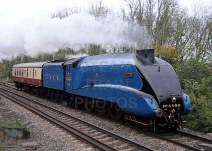 Purchase photo of 4464 BITTERN at Tilehurst