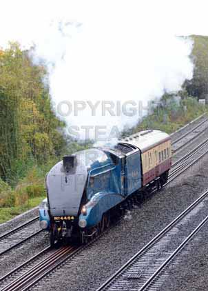 Purchase photo of 4464 BITTERN at Tilehurst