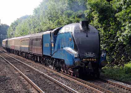 Purchase photo of 4464 BITTERN at Tilehurst