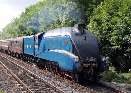 Purchase photo of 4464 BITTERN at Tilehurst