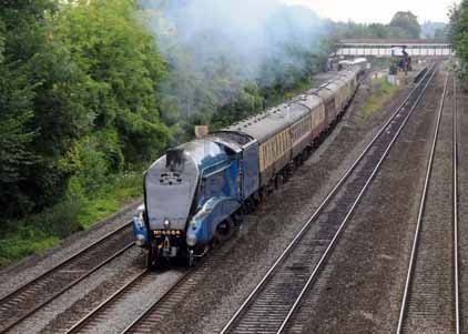 Purchase photo of 4464 BITTERN at Tilehurst