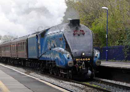 Purchase photo of 4464 BITTERN at Tilehurst