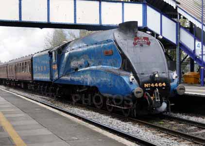 Purchase photo of 4464 BITTERN at Tilehurst