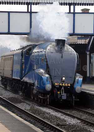 Purchase photo of 4464 BITTERN at Tilehurst