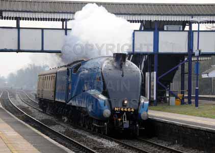 Purchase photo of 4464 BITTERN at Tilehurst