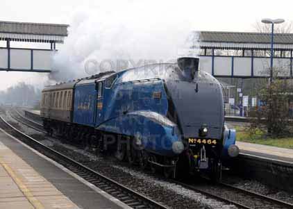 Purchase photo of 4464 BITTERN at Tilehurst
