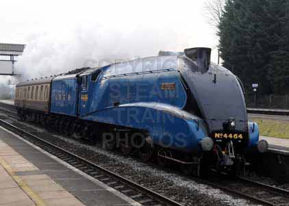 Purchase photo of 4464 BITTERN at Tilehurst