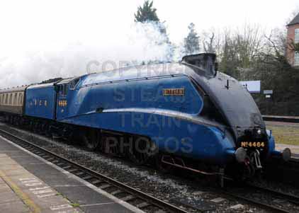 Purchase photo of 4464 BITTERN at Tilehurst