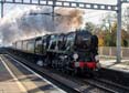 Photograph of BRAUNTON - 34046 BRAUNTON at Tilehurst on 15/11/23