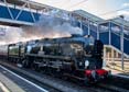 Photograph of BRAUNTON - 34046 BRAUNTON at Tilehurst on 15/11/23