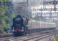 Photograph of BRAUNTON - 34046 BRAUNTON at Tilehurst on 16/09/23