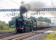 Photograph of BRAUNTON - 34046 BRAUNTON at Tilehurst on 16/09/23