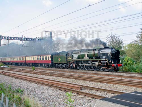 See large image