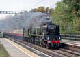 Photograph of BRAUNTON - 34046 BRAUNTON at Tilehurst on 19/09/24