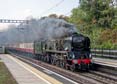 Photograph of BRAUNTON - 34046 BRAUNTON at Tilehurst on 19/09/24