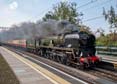Photograph of BRAUNTON - 34046 BRAUNTON at Tilehurst on 19/09/24