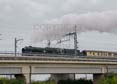 Photograph of CLAN LINE - 35028 CLAN LINE at Tilehurst on 21/08/21