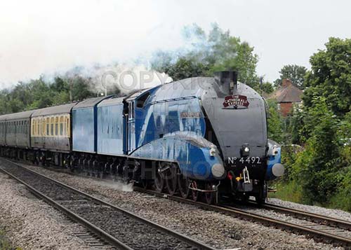 See large image