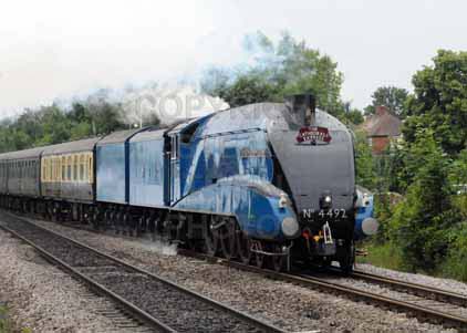 Purchase photo of 4492 DOMINION OF NEW ZEALAND (BITTERN) at Tilehurst