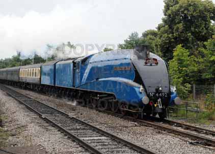 Purchase photo of 4492 DOMINION OF NEW ZEALAND (BITTERN) at Tilehurst