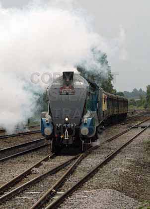 Purchase photo of 4492 DOMINION OF NEW ZEALAND (BITTERN) at Tilehurst