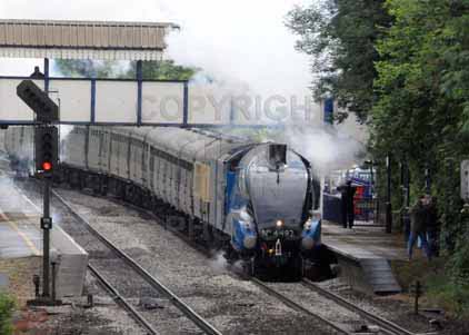 Purchase photo of 4492 DOMINION OF NEW ZEALAND (BITTERN) at Tilehurst