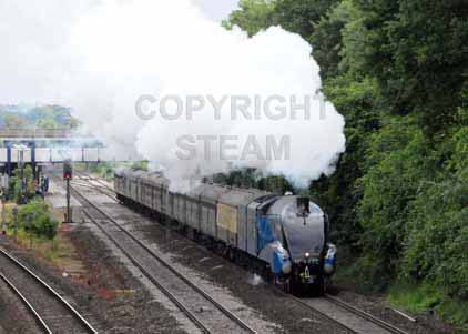 Purchase photo of 4492 DOMINION OF NEW ZEALAND (BITTERN) at Tilehurst