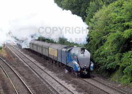 Purchase photo of 4492 DOMINION OF NEW ZEALAND (BITTERN) at Tilehurst