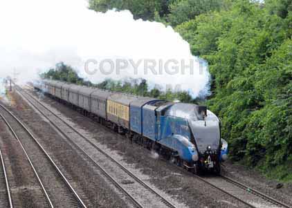 Purchase photo of 4492 DOMINION OF NEW ZEALAND (BITTERN) at Tilehurst