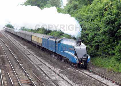 Purchase photo of 4492 DOMINION OF NEW ZEALAND (BITTERN) at Tilehurst