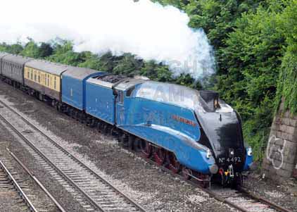 Purchase photo of 4492 DOMINION OF NEW ZEALAND (BITTERN) at Tilehurst
