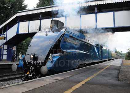 Purchase photo of 4492 DOMINION OF NEW ZEALAND (BITTERN) at Tilehurst