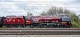 Poster ofDUCHESS OF SUTHERLAND - 46233 DUCHESS OF SUTHERLAND at Tilehurst on 11/10/18