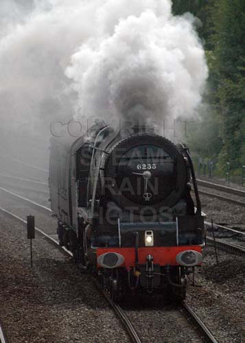 See large image