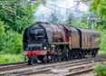 Photograph of DUCHESS OF SUTHERLAND - 46233 DUCHESS OF SUTHERLAND at Tilehurst on 26/05/22