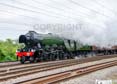 Photograph of FLYING SCOTSMAN - 60103 FLYING SCOTSMAN at Tilehurst on 07/06/23