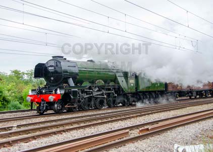 Purchase photo of 60103 FLYING SCOTSMAN at Tilehurst